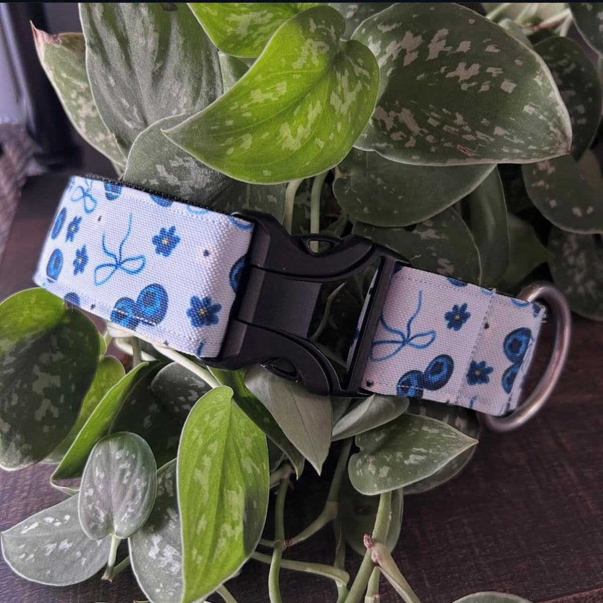 Berries & Bows Eco-Canvas Collar