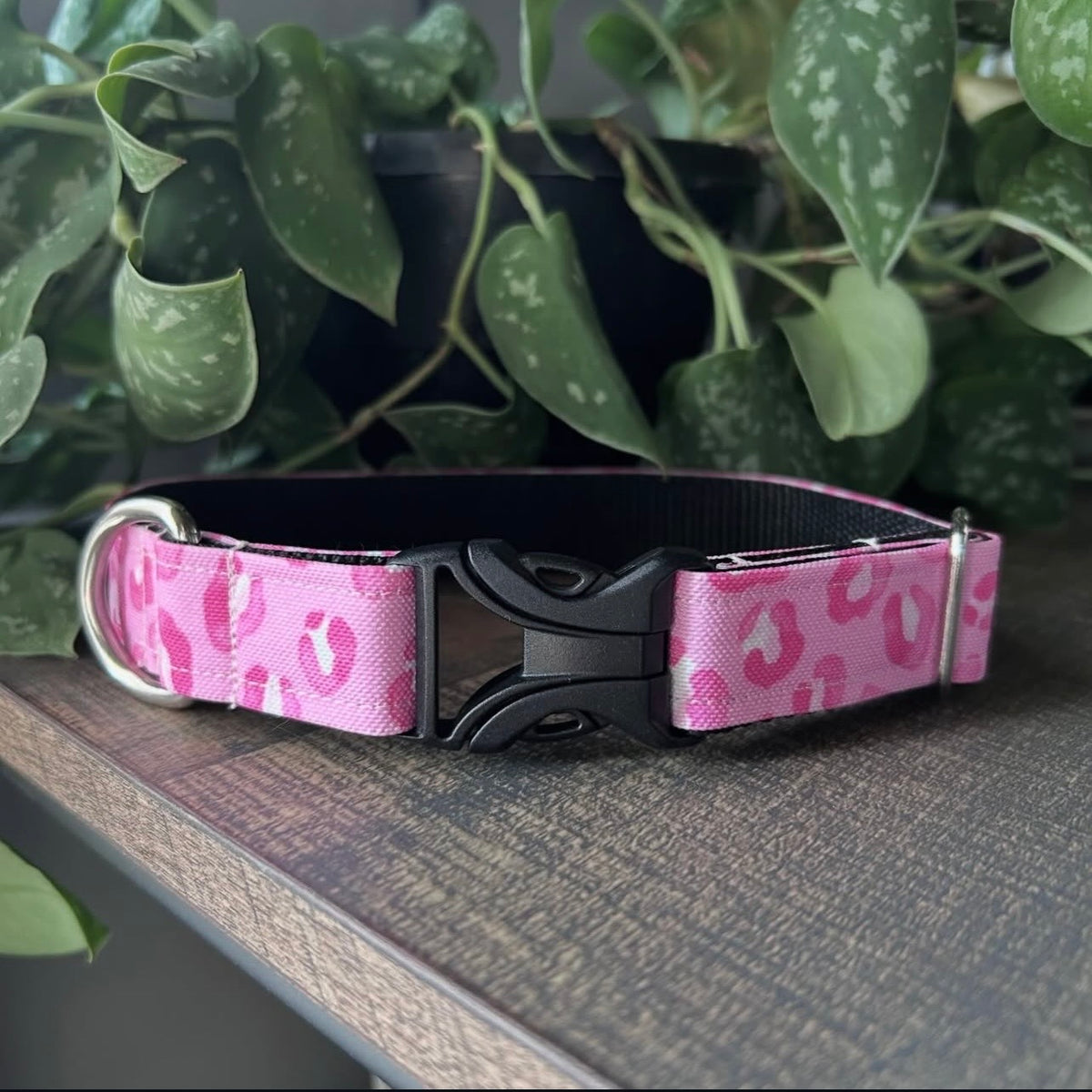 Fierce Leopard Eco-Canvas Collar